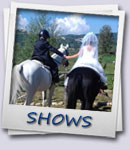 Shows