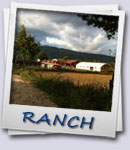Ranch