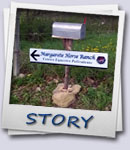 Story