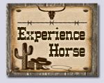 Experience